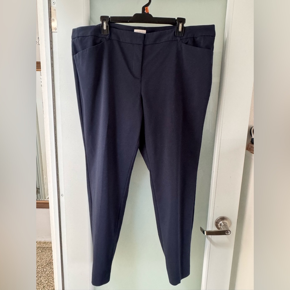 Van Heusen Blue Trousers for Professional Wear